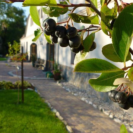 Villa Aronia Park Lubiechowa Exterior foto