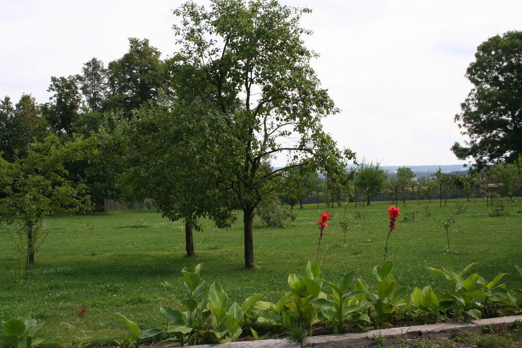 Villa Aronia Park Lubiechowa Exterior foto