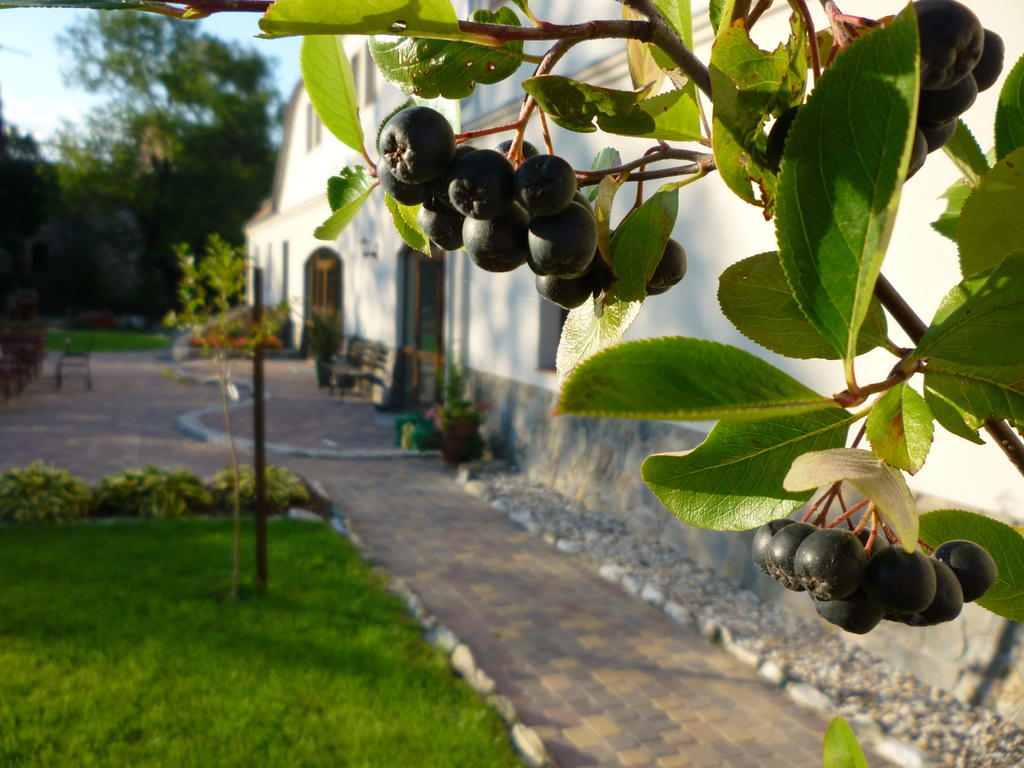 Villa Aronia Park Lubiechowa Exterior foto